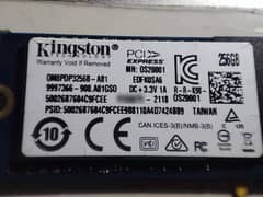 Kingston NVMe M. 2 256GB SSD