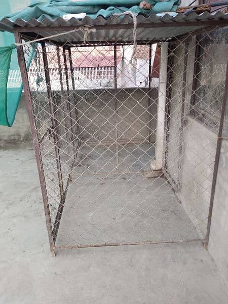 Dogs and hens cage 2
