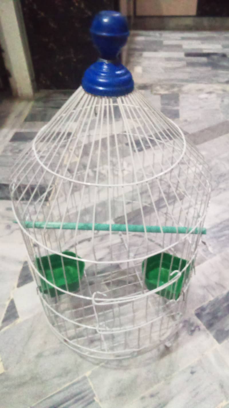 Beautiful Birds Cage 03428273343 0