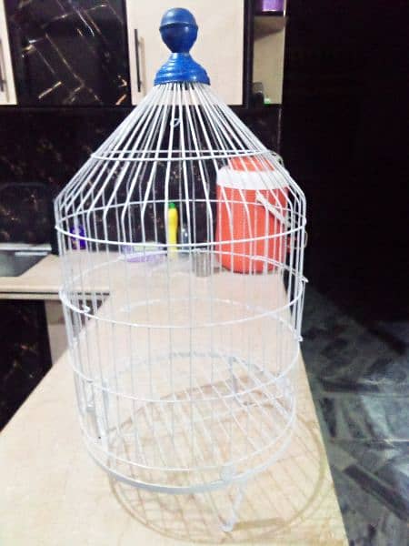 Beautiful Birds Cage 03428273343 2