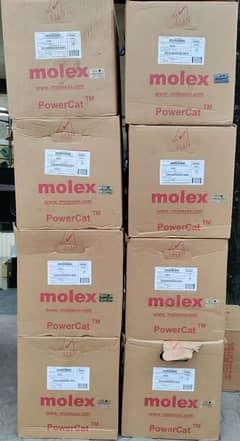 Molex cat 6 internet networking cable