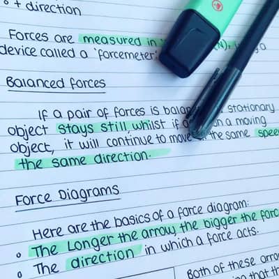 Expert Writer