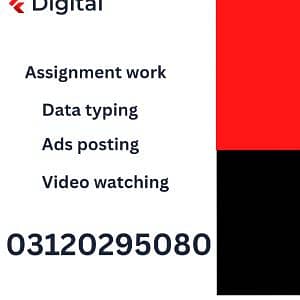 Assignment Writing 