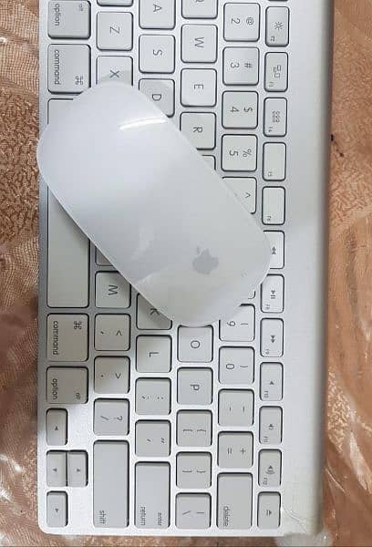 Apple Magic Wireless Mouse Keyboard available 0