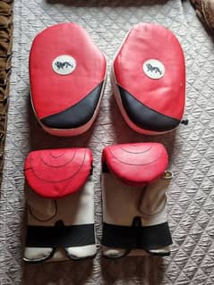 Boxing Gloves with Pads New