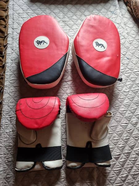 Boxing Gloves with Pads New 0