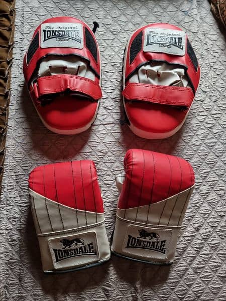 Boxing Gloves with Pads New 1