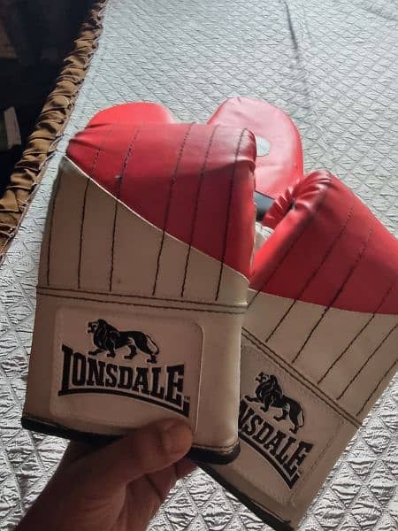 Boxing Gloves with Pads New 2