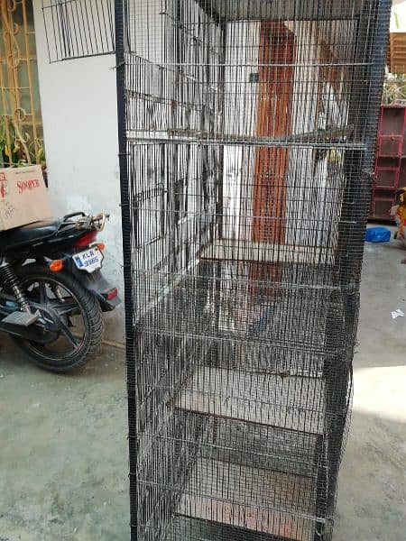 birds cage 7