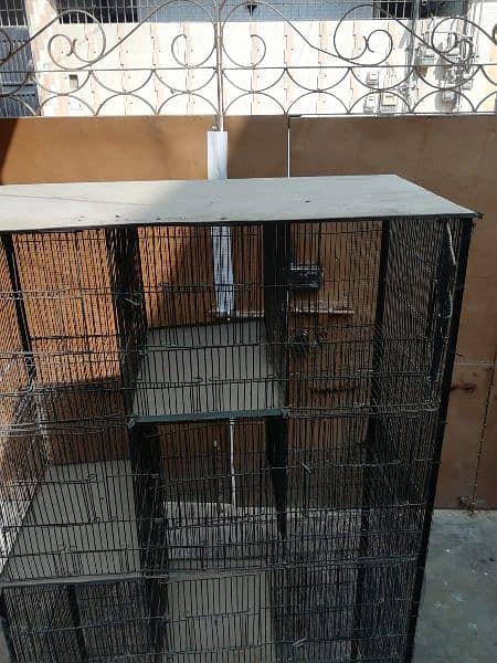 birds cage 8