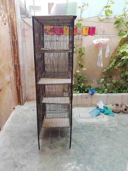 birds cage 9