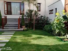 | american grass grass for gadening | American garden grass natural