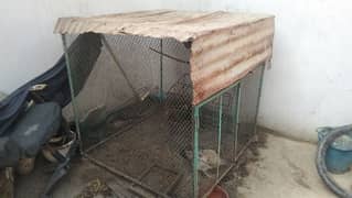 cage 4 sale