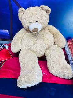 teddy bear big size