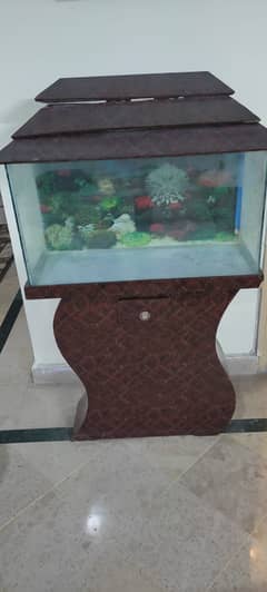 Fish aquarium and accessories 0