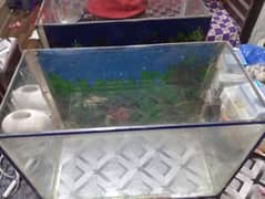 Fish Aquarium With All Accessories