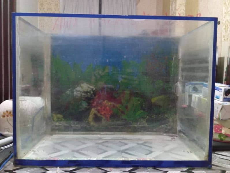 Fish Aquarium With All Accessories 1