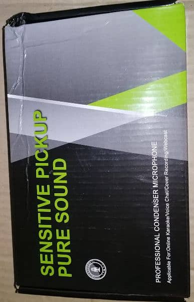 Professional Condenser Microphone - Sensitive Pickup Pure Sound 1