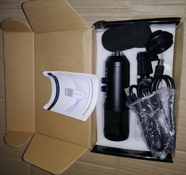 Professional Condenser Microphone - Sensitive Pickup Pure Sound 2