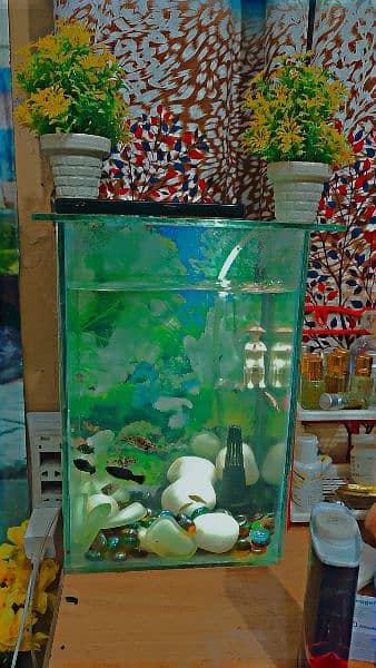 fish aquariums for sale 6