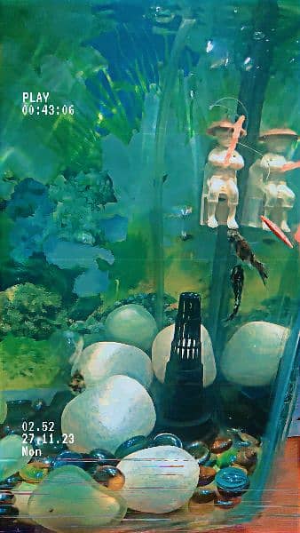 fish aquariums for sale 7