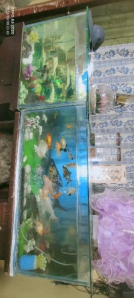 fish aquariums for sale 16