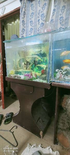 fish aquariums for sale 17