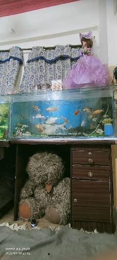 fish aquariums for sale