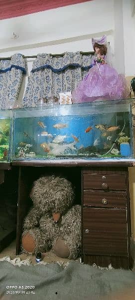 fish aquariums for sale 18