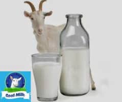 goat milk 0