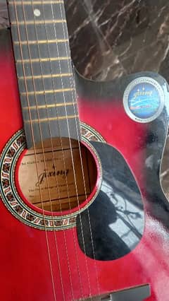 Guitar