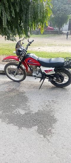 Trail bike hot sale olx