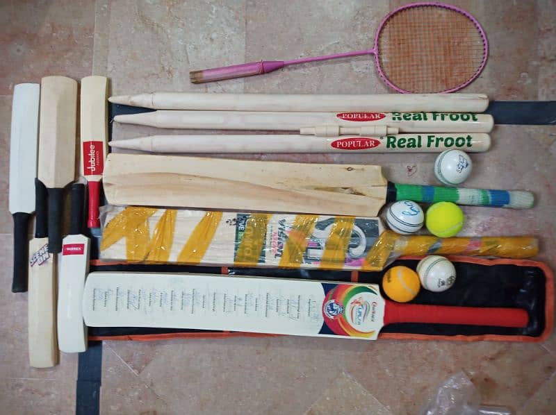 Cricket bat and ball with kit for sale 1
