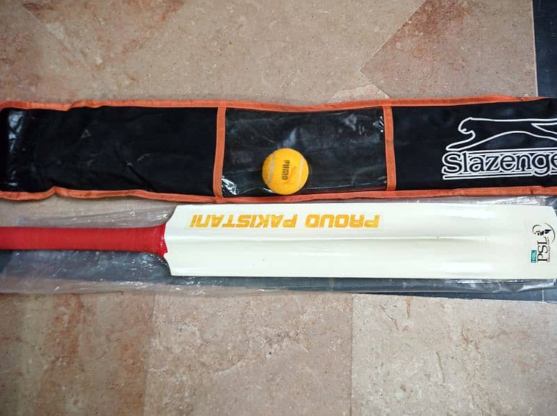 Cricket bat and ball with kit for sale 17