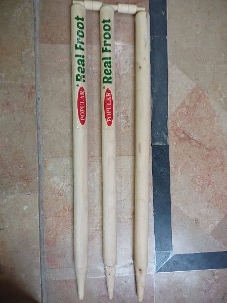 Cricket kit bat and ball 19