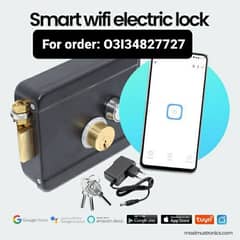 Wifi Door lock for main gate electric magnetic coil 12v