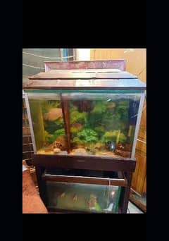 Aquarium