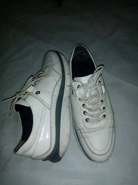 in good condition brand Hush Puppies . size 8.03200416677 2