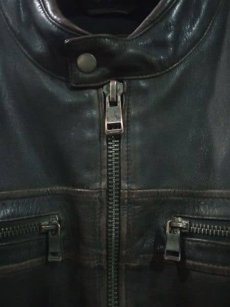 Original Cow Leather Jacket 11