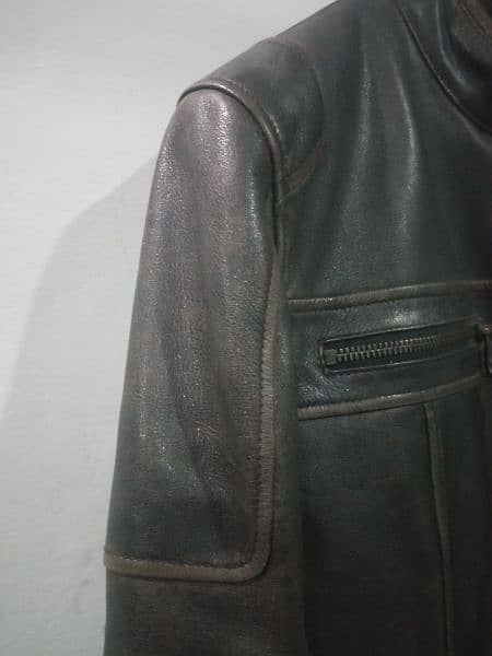 Original Cow Leather Jacket 13