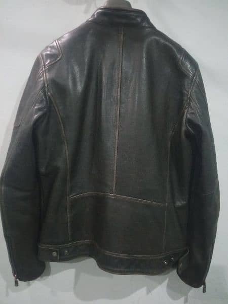 Original Cow Leather Jacket 14