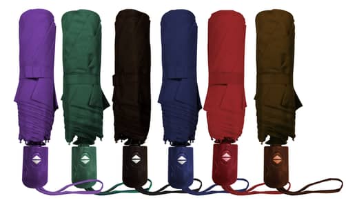 Customized Automatic Folding Umbrella (Six Colors Available)