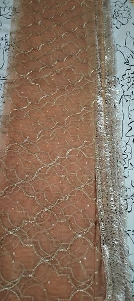 New Style party wear maxi | Walima Maxi | Tail Maxi One Time Used 2