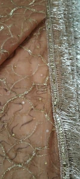 New Style party wear maxi | Walima Maxi | Tail Maxi One Time Used 3