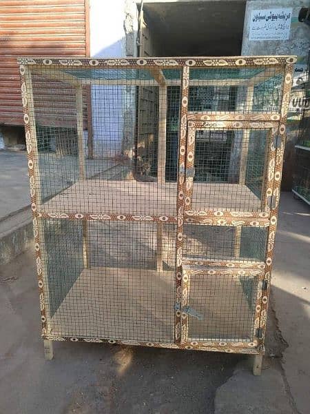 murgi murga cats end kittens birds cages 1