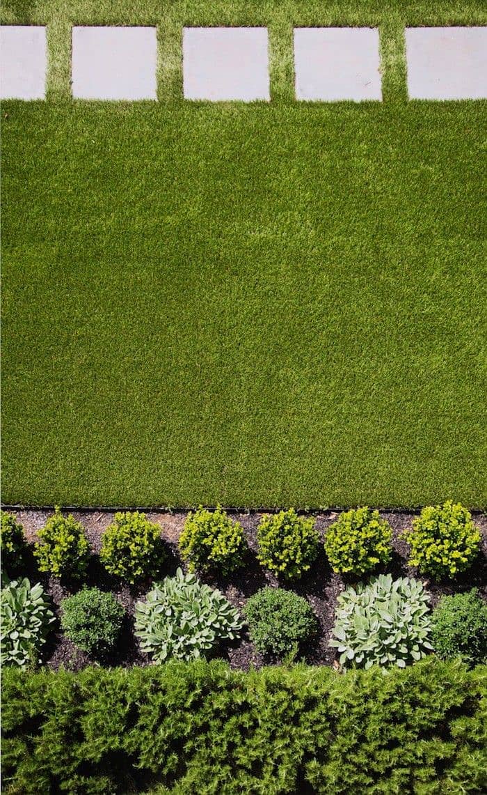 American grass carpete/ plants /Garden Decoration/Turfing 13