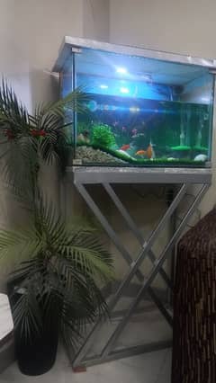 Full Aquarium setup for sale