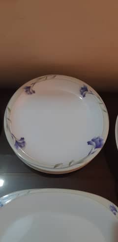 DINNER set made by Dolphin melamine