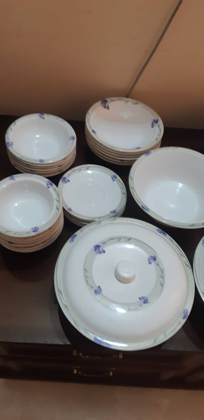 DINNER set made by Dolphin melamine 9