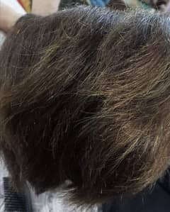 Men's Hair Wig - Original Hair, Brown Shaded colored